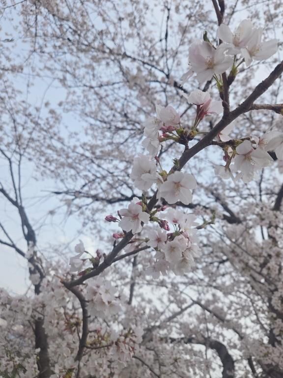 おはようございます&#9728;&#65038;