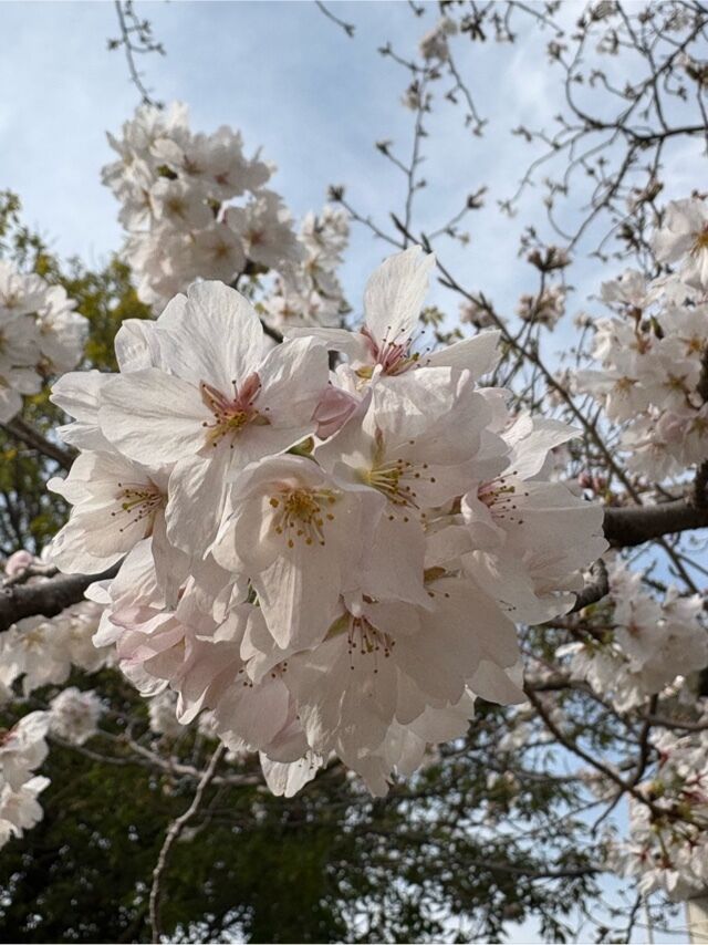 明日出勤っ！！