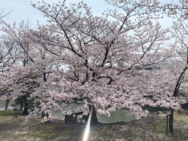 こんばんは&#128522;