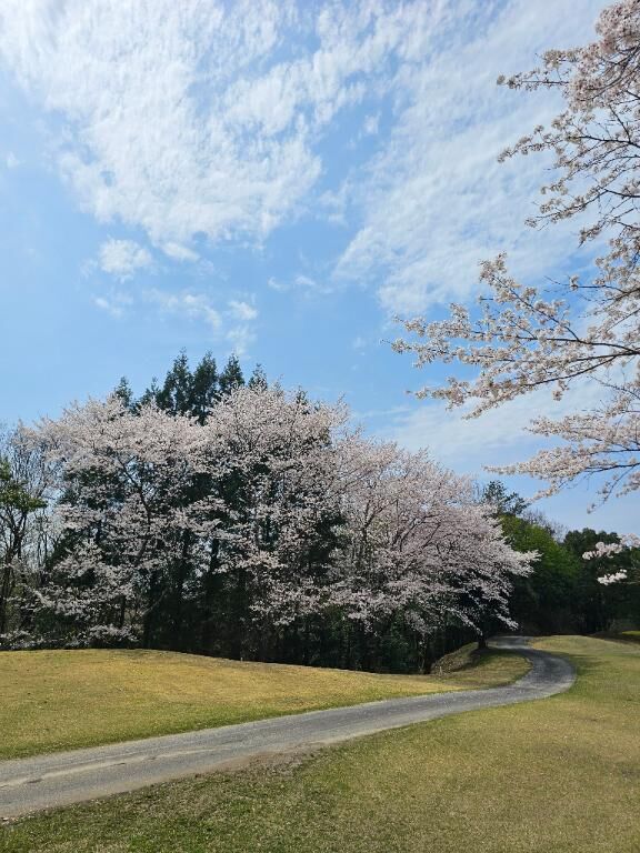 久しぶりの