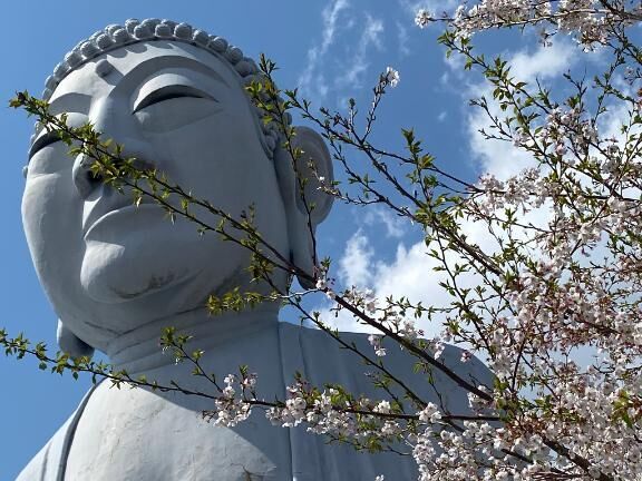 朝から晩まで