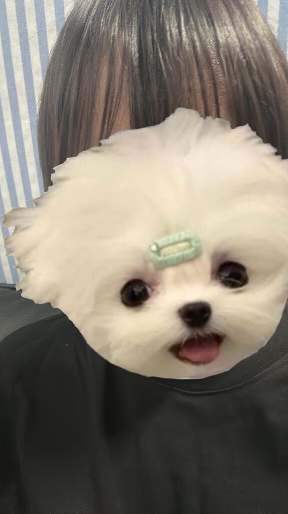 わー