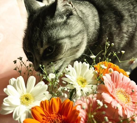 お返事です