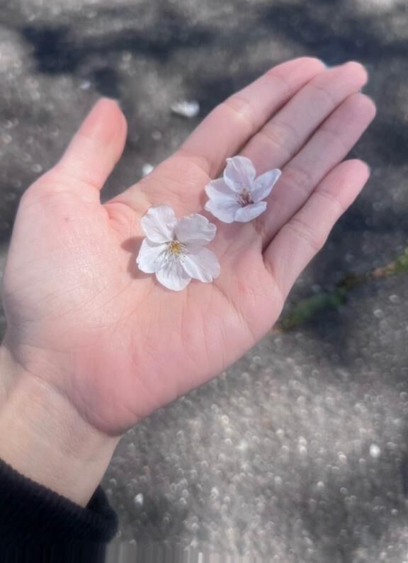 おは&#9728;&#65039;