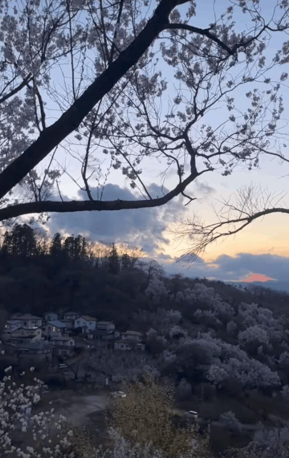 ☆花より団子☆
