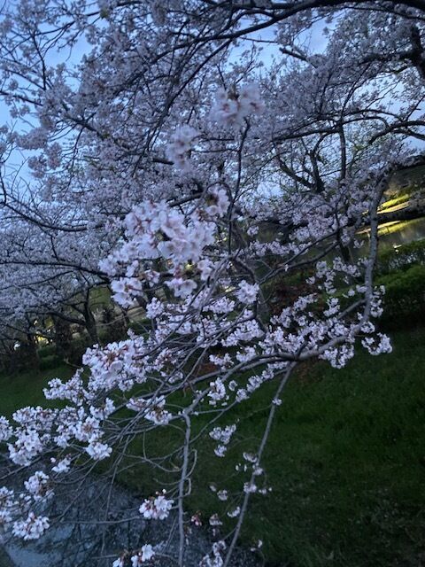 残念だけど笑顔でまたね&#10084;&#65039;