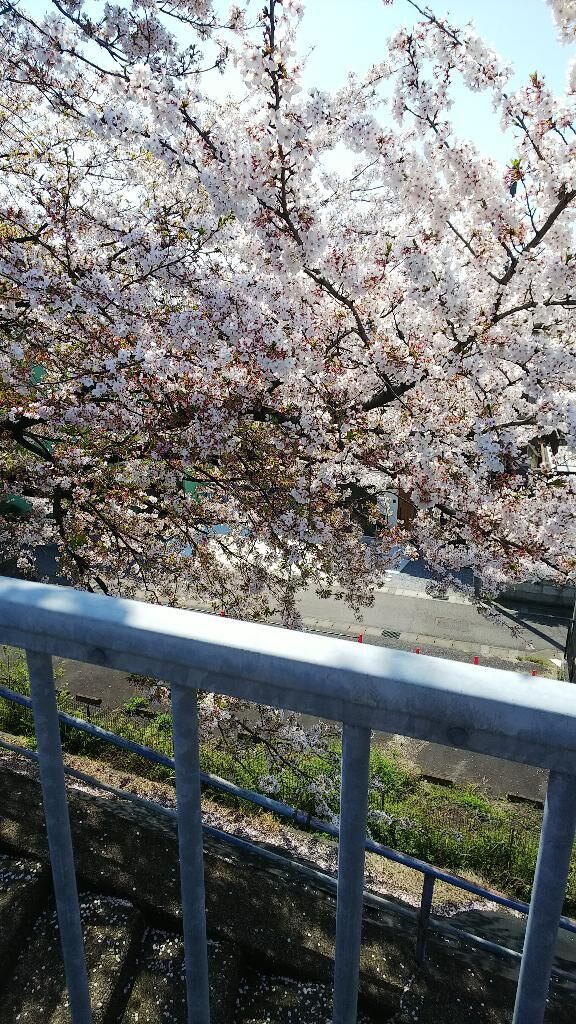 おはようございます