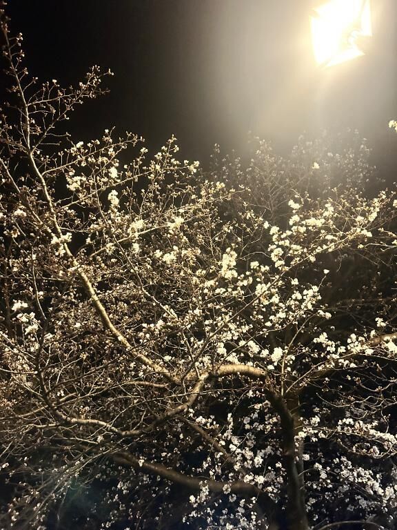 出勤だよん♡♡