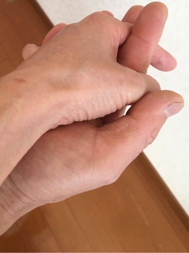 ほたるの人妻川柳日記 (相互関税に思う)