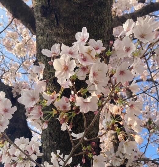 元気に息してますっ