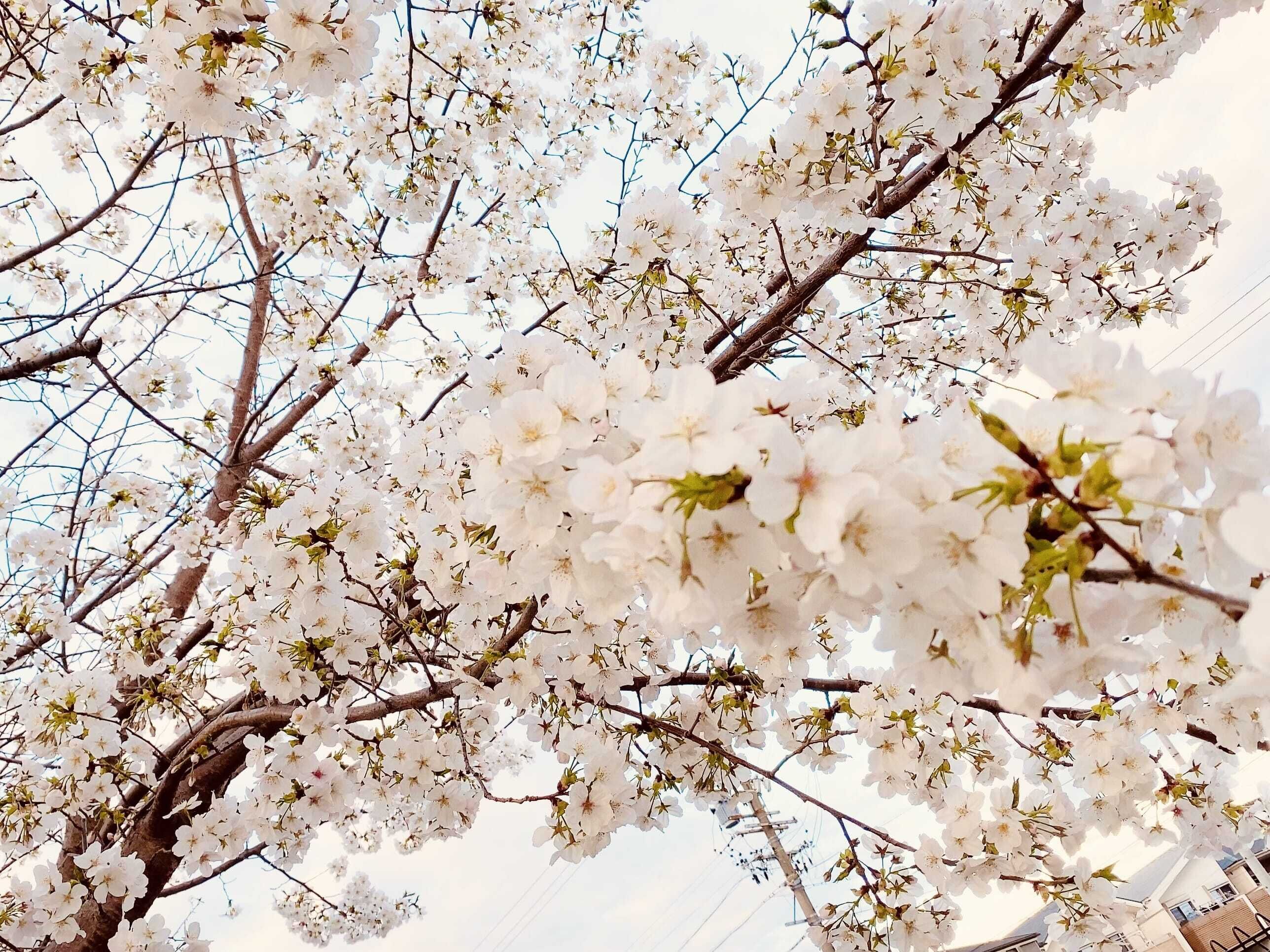 出勤&#10024;