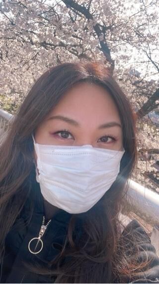 スケジュール