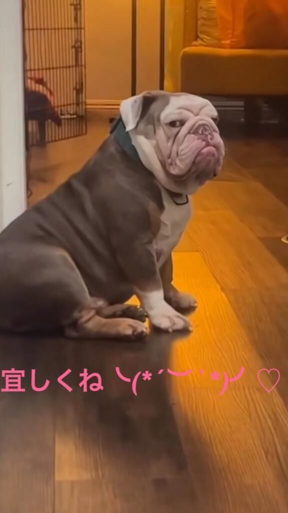 にこり