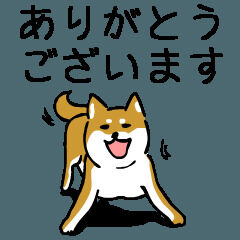 本日のお礼&#128524;