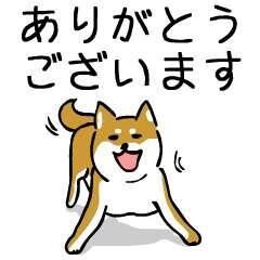 本日のお礼&#128524;