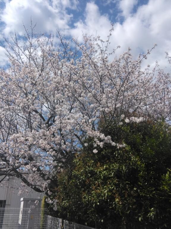 今日はありがとうございました♡♡