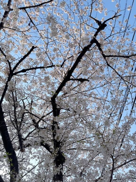 最近ずっと眠いよぉ(  &#9825;&#9825;&#9825; ) &#9825;