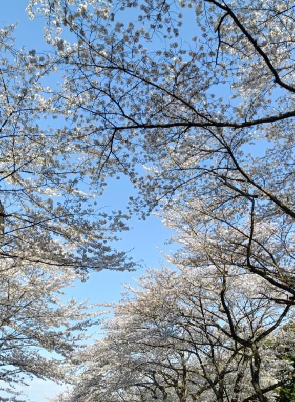 おはようございます&#9825;