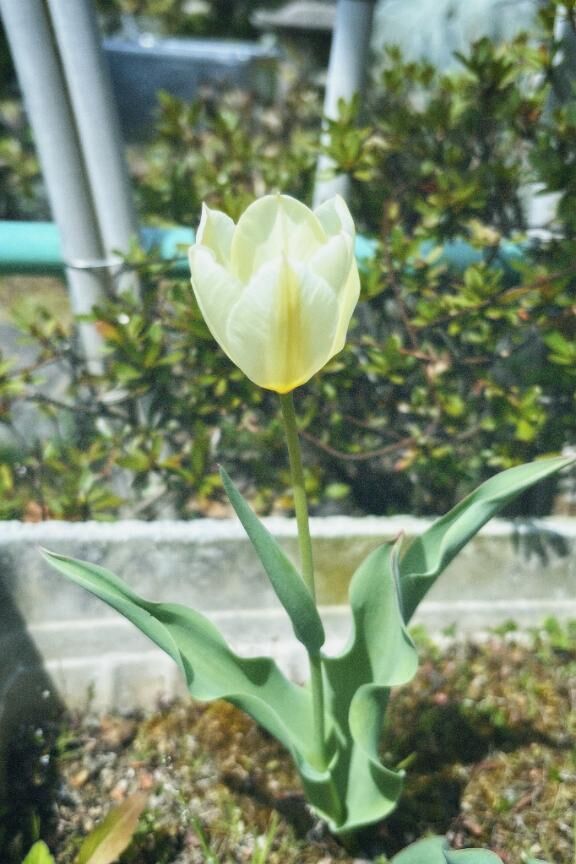 朝からほっこり&#9749;&#65039;