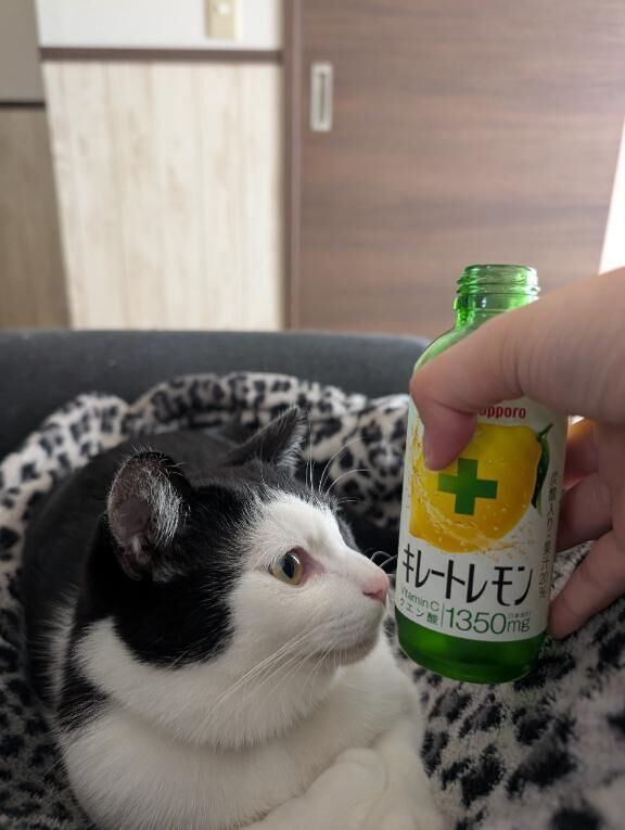 出勤します&#9825;