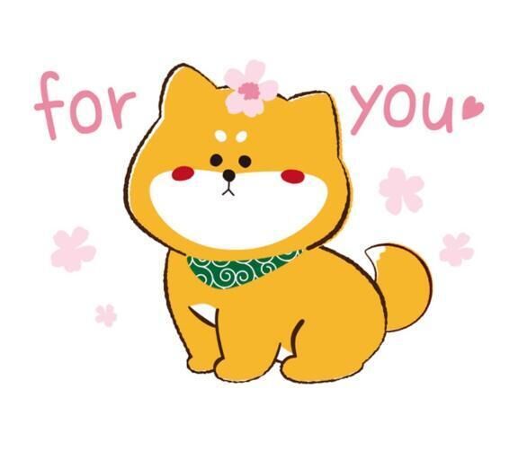キテネ＆ギフト&#127873;&#10024;