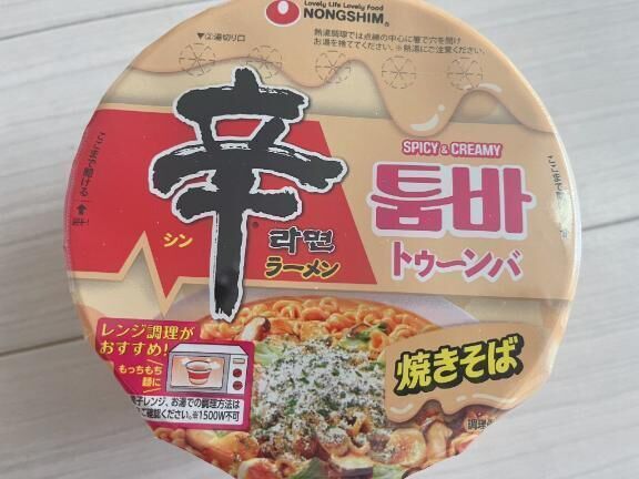 念願の