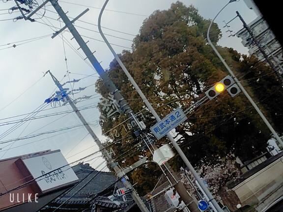 名古屋とうちゃーく！