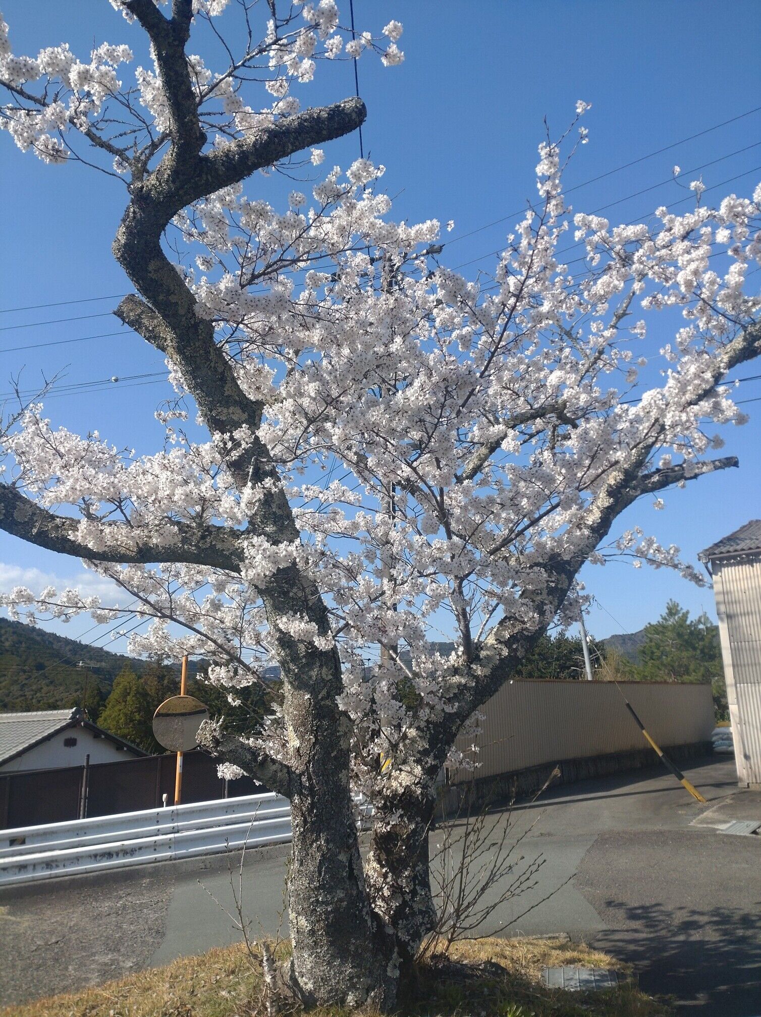 &#9825;あい&#9825;