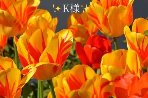 お礼状