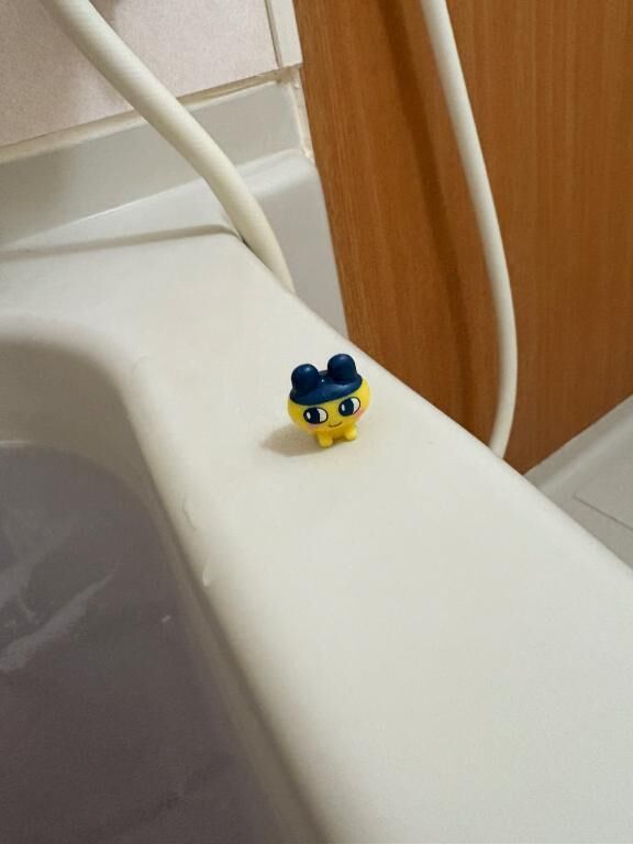 めっちー！ごっちー！