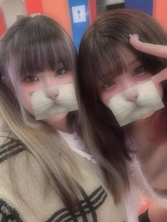 今日も、