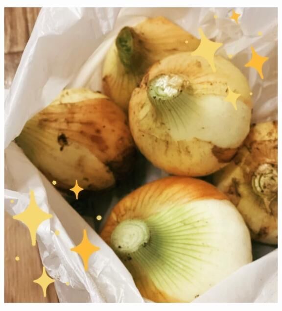 [お題]from:今でも無理だよさん
