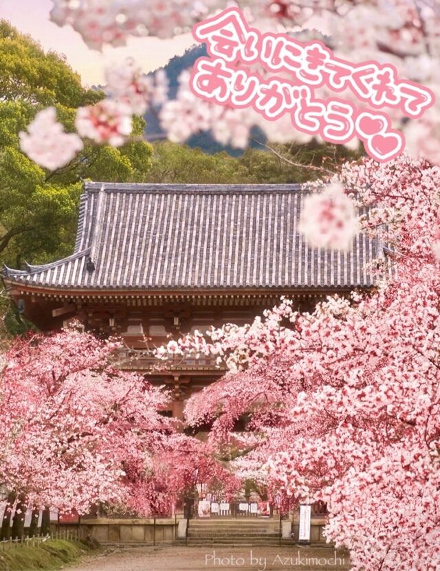 9日(水)のありがとう&#9825;