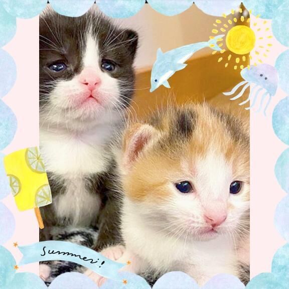おやすみ＼(^o^)／なさい
