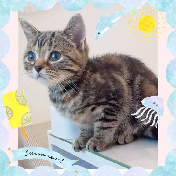 今日(≧∇≦)b久々出勤