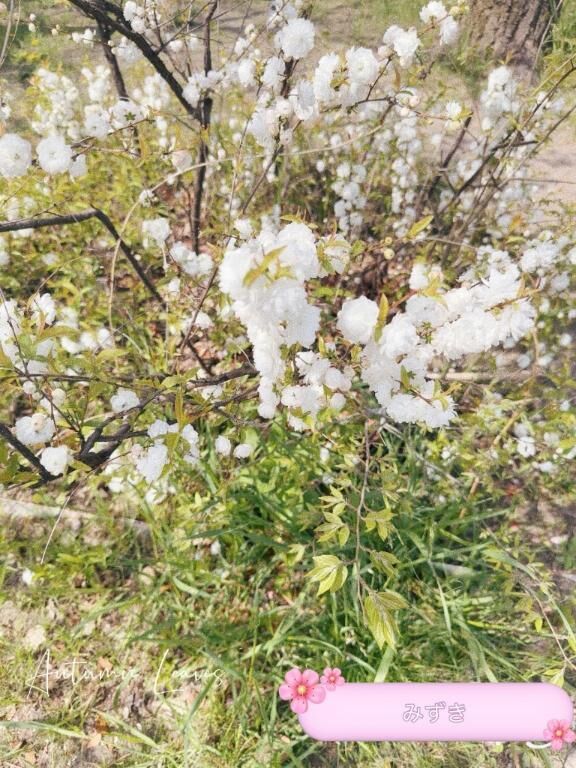 おはようございます&#9825;
