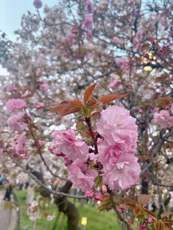 おはようございます&#128149;