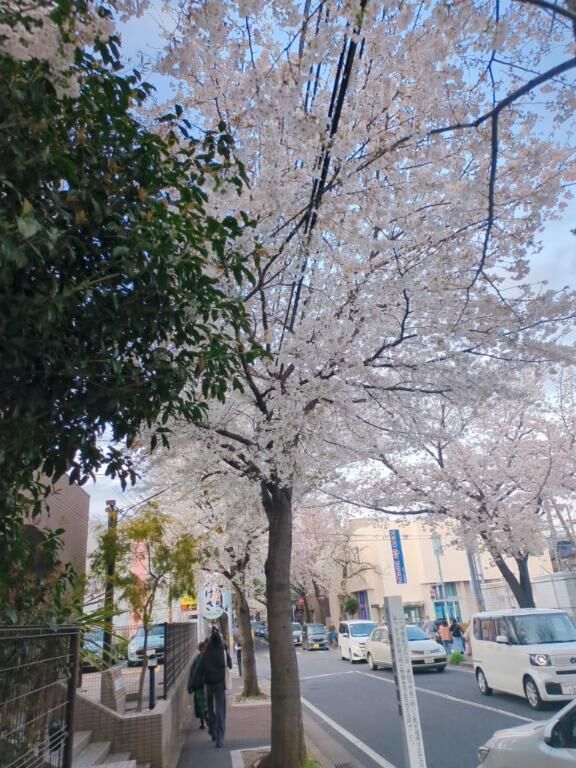 スタート空いてます&#129402;