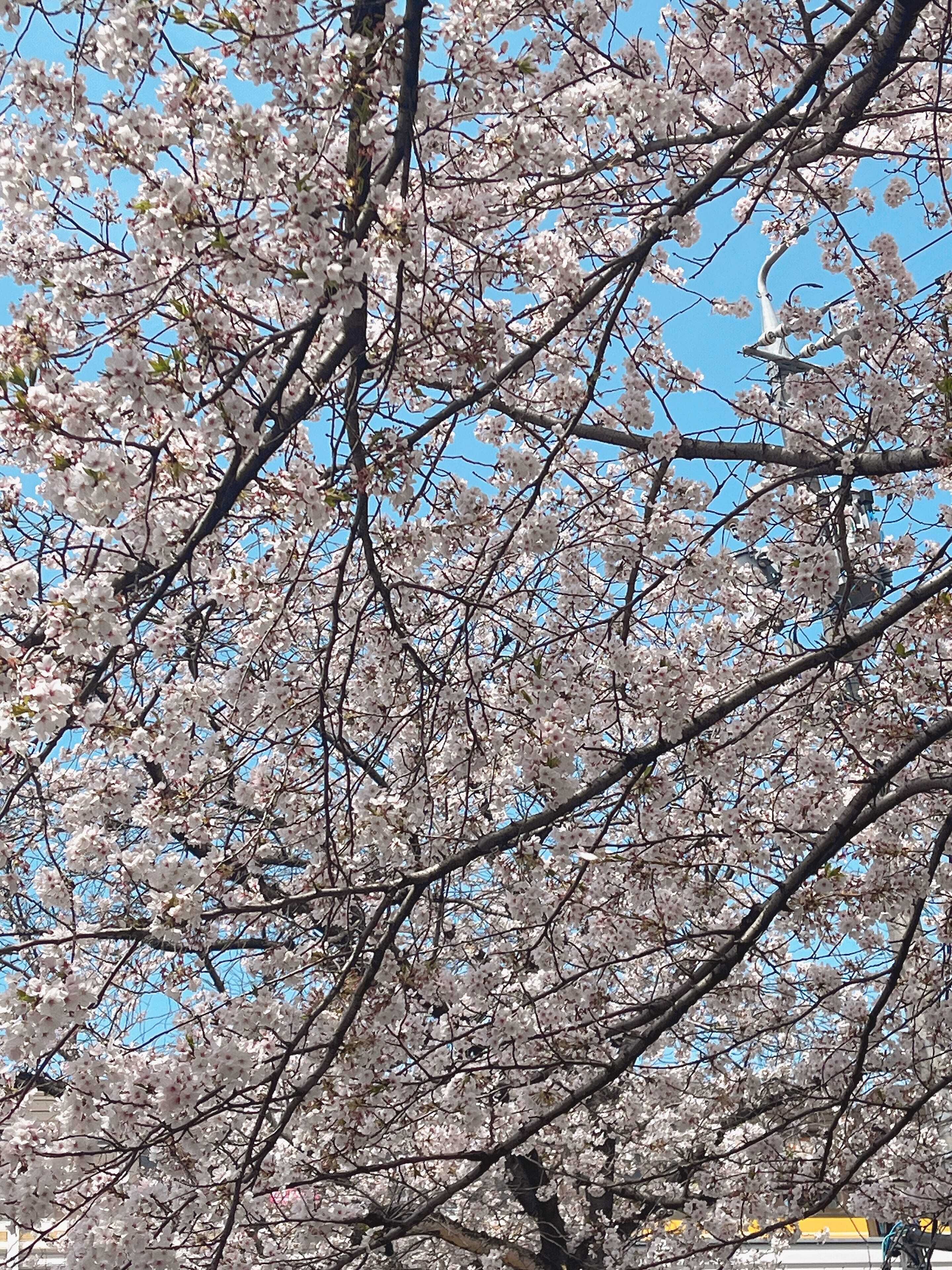 出勤しました♪