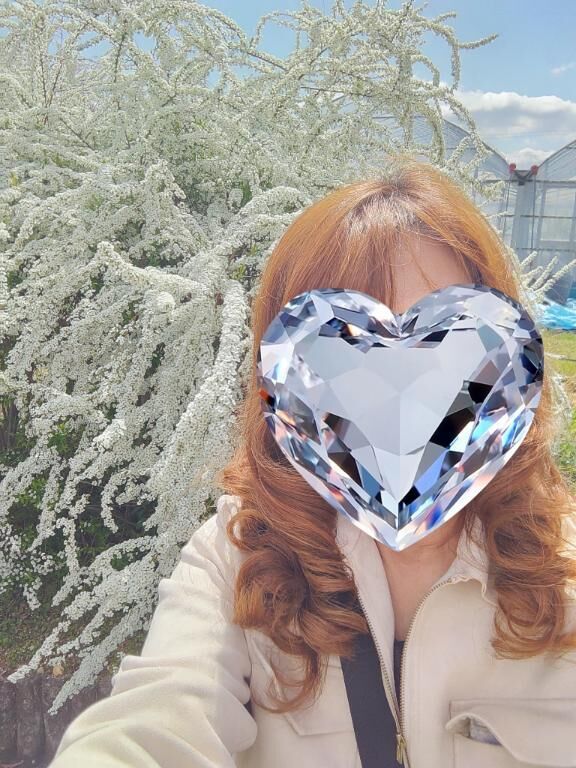 ポカポカ陽気