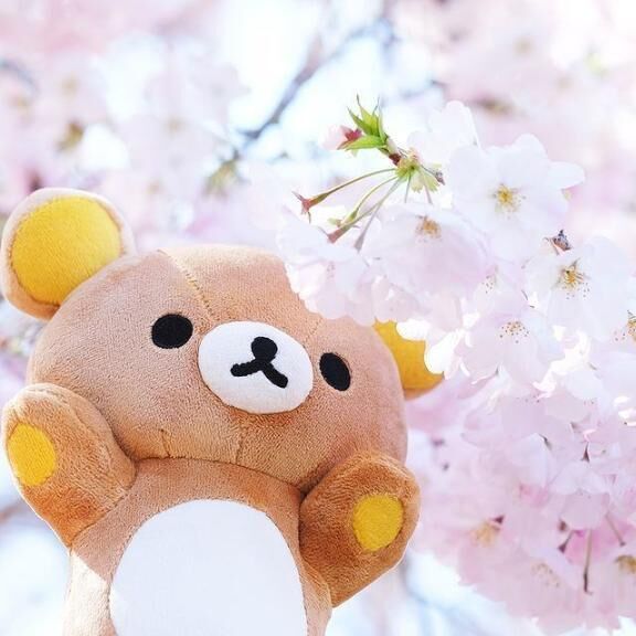 週末なので…&#9825;
