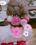 春だワン