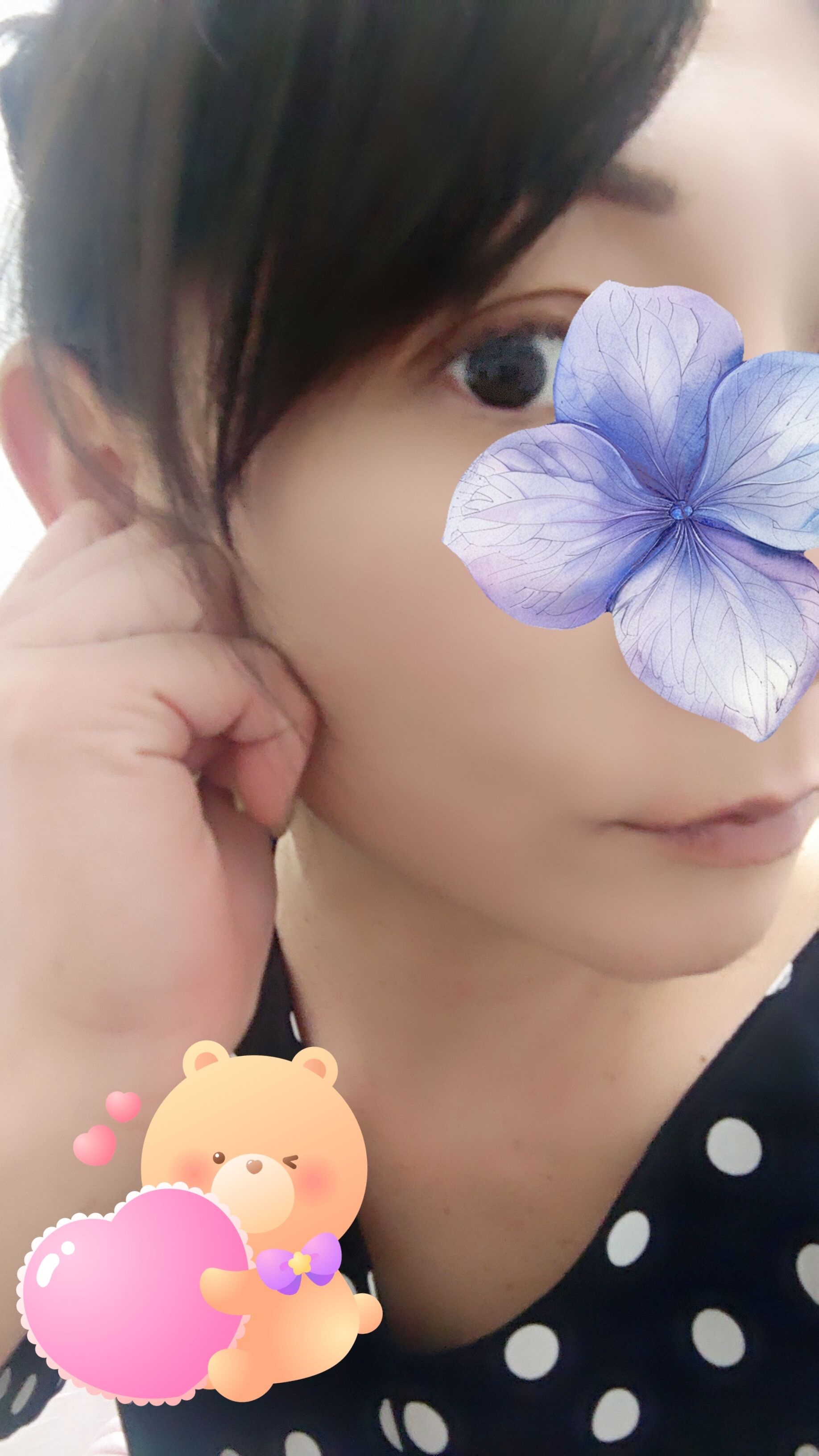 ごめんなさいm(._.)m