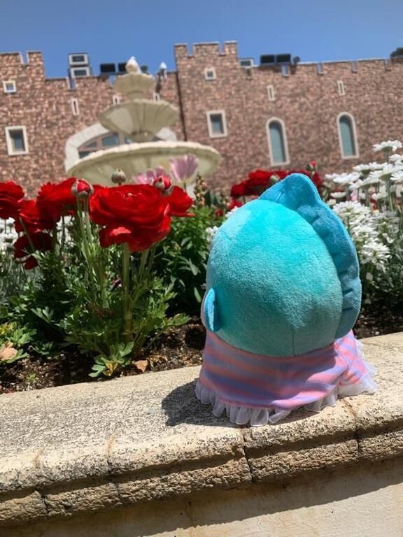 合言葉&#9825;ありがとう