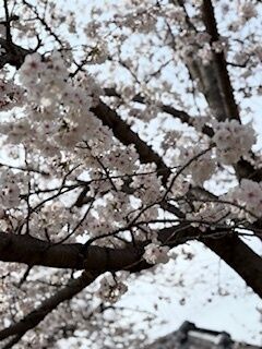 ありがとうございました&#9825;