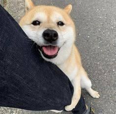 ﾄｺﾄｺ(((((*´･ω･)