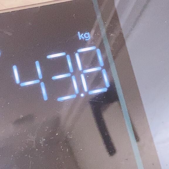 リアル体重公開WWWWW