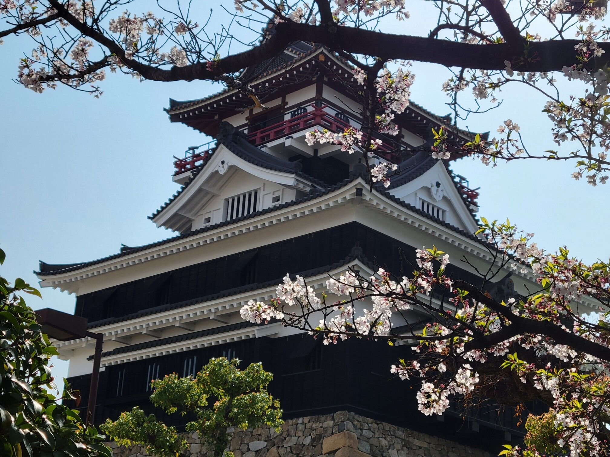 11日(金)　15時　&#9825;様