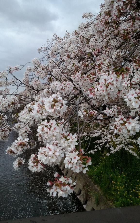ちょっとずつ