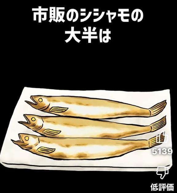 嘘か誠か